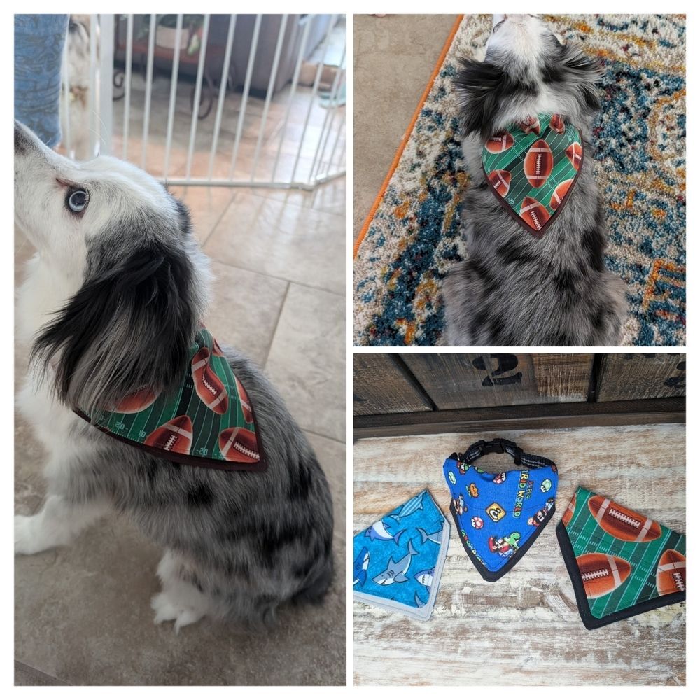 Hand Crafted Over the Collar Dog/Cat Bandana Set of 3 Size XS